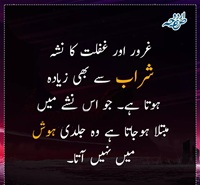 غرور اور غفلت کا نشہ